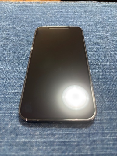 iPhone12  pro 