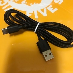 タイプC 充電ケーブル 1m 