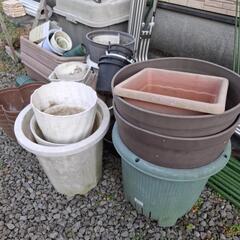【決まりました】プラスチック鉢、園芸支柱