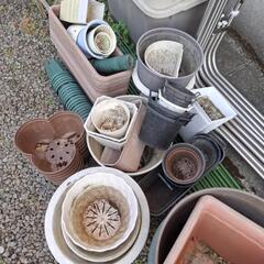 【決まりました】プラスチック鉢、園芸支柱の画像
