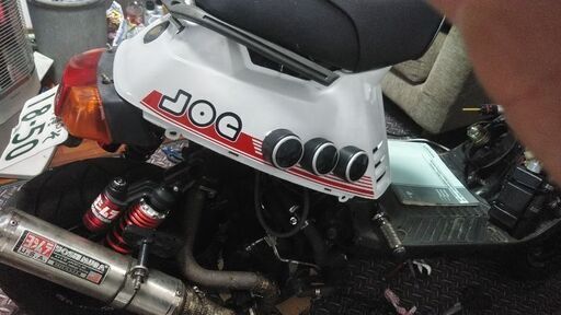 ペリカンジョグ