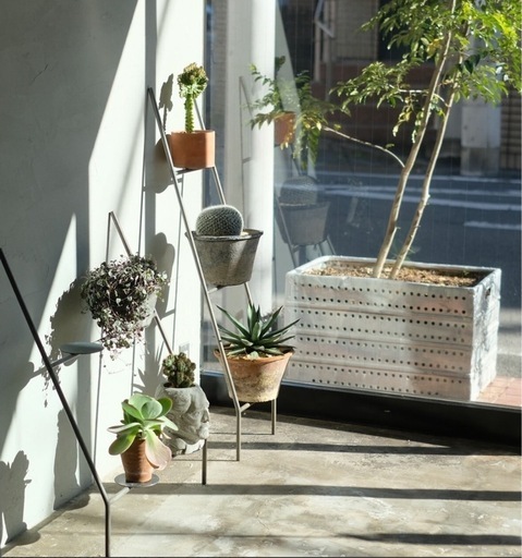 KNOP LADDER RACK 【TALL】