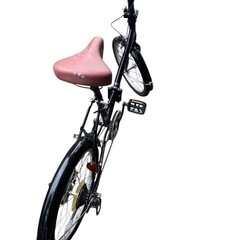 My Pallas（マイパラス） M-205｜20インチ6段変速折りたたみ自転車の画像