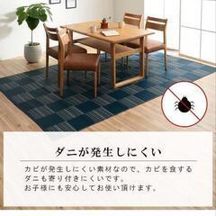 い草風ラグマット　ネイビー