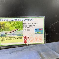 水槽、ポンプ、ライト、餌等他の備品一式の画像