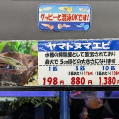 水槽、ポンプ、ライト、餌等他の備品一式の画像