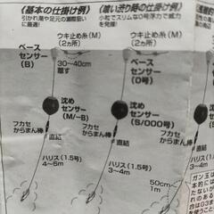 釣果アップしたいならセンサーウキをの画像