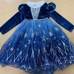 アナ雪風ドレスの画像