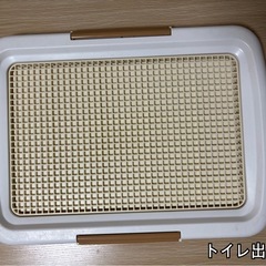 ◆ボンビ◆しつけるトレーメッシュ◆S◆白◆犬④