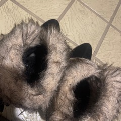 冬用ブーツの画像
