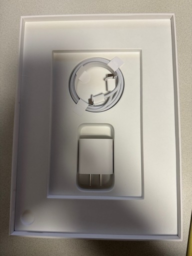 【美品】iPad 10世代 256GB Wi-Fi イエロー