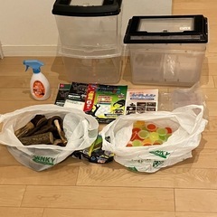 カブトムシ飼育セット