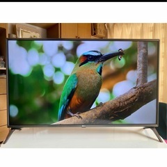 55インチ液晶テレビ　55uj6100