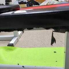 ベンチプレスの画像