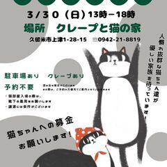 保護猫譲渡会4/30(日)