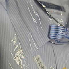 半袖ワイシャツ(カッターシャツ)ボタンダウンの画像