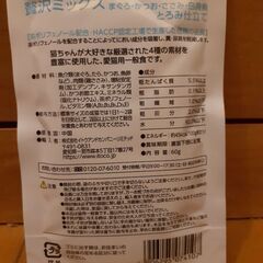 猫のご飯2の画像