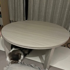 こたつ　テーブル　3ヶ月使用