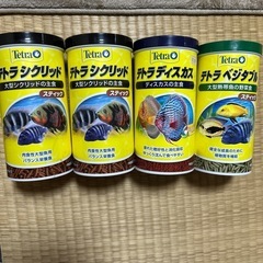 テトラ　エサ