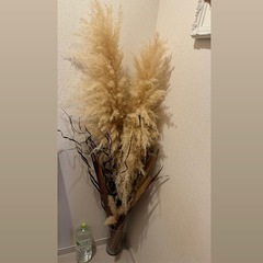 NO.2 　インテリア　パンパスグラス　他　植物　ドライフラワー　　の画像