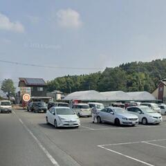 改良めだか ピンポンパール  地産地消   - 地元のお店