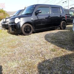 ココア　110,000円車ノミの画像