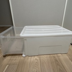 収納ケース(ニトリ/Mサイズ)の画像