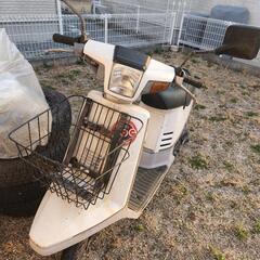 希少？ペリカンジョグ（不動車）
