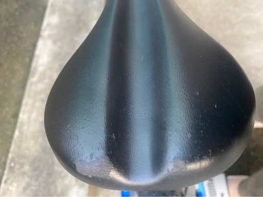 TREK Precaliber 20インチ　ブルー 