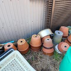 植木鉢 0円 