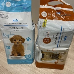 ペットシーツ　レギュラー　ワイド　ウエルシア