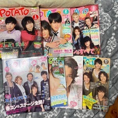 POTATO 2010年