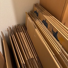 ダンボール　引っ越し　セット　20枚の画像
