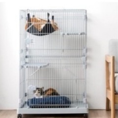 キャットゲージ　グレー　　の画像