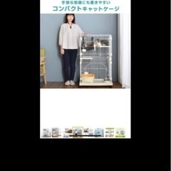 キャットゲージ　グレー　　の画像