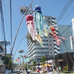 2025年の川開き祭り一緒に回ってくださる地元の方いらっしゃいませんか？ - 石巻市