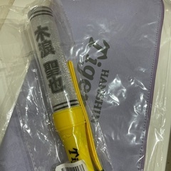 新品未使用、阪神木浪聖也ペンライト、ケースセット