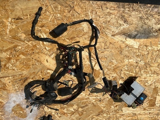 エイプ50 部品 エイプ50 部品取り レストアベース 不動