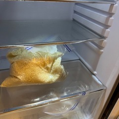 アイリスオーヤマ　レトロ冷蔵庫　お米おまけの画像