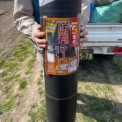 耐候年数約5年の防草シート（80メートル）の画像
