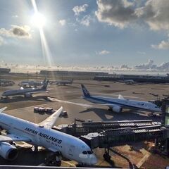 一緒にジョギングしませんか？ - 大田区
