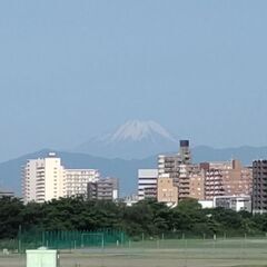 一緒にジョギングしませんか？ - スポーツ