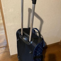 【差し上げます】キャリーバッグの画像