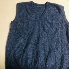 紳士ベストLぐらい