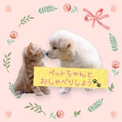 アニマルコミュニケーション