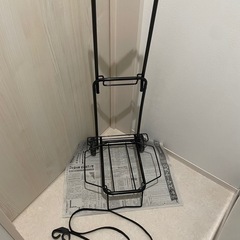 【お譲り先決定】折りたたみキャリーカートの画像