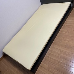 トゥルースリーパー・シングル（１週間使用)