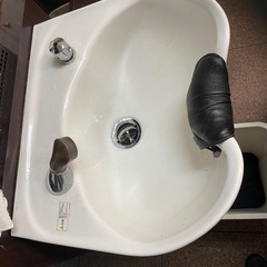 シャンプーボール