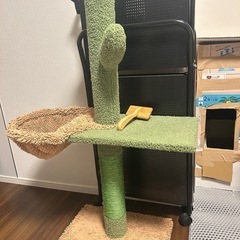 生活用品の画像