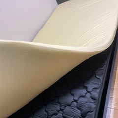 トゥルースリーパー・シングル（１週間使用)の画像